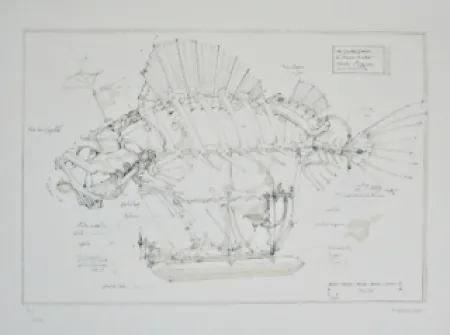 リトグラフ Delarozière - Le Poisson Pirate