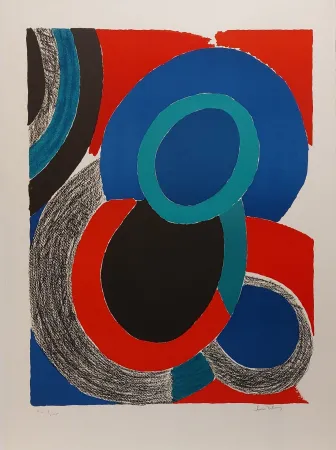 リトグラフ Delaunay - Vol de nuit 