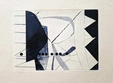 アクチアント Della Torre - Elfi