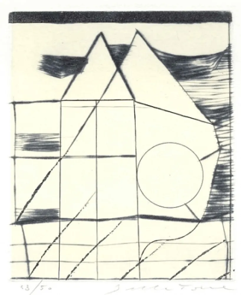 挿絵入り本 Della Torre - Immagini riflesse