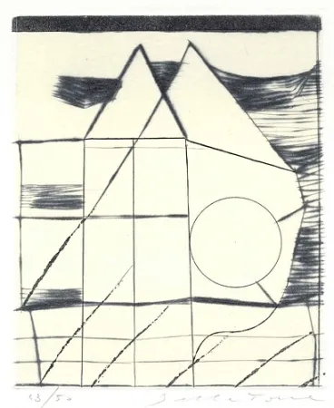 挿絵入り本 Della Torre - Immagini riflesse