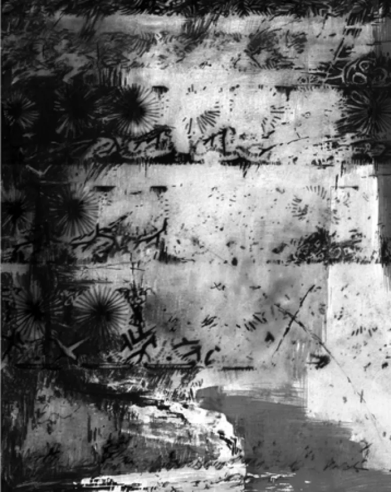 写真 Delrieu - Contrepoints n°1