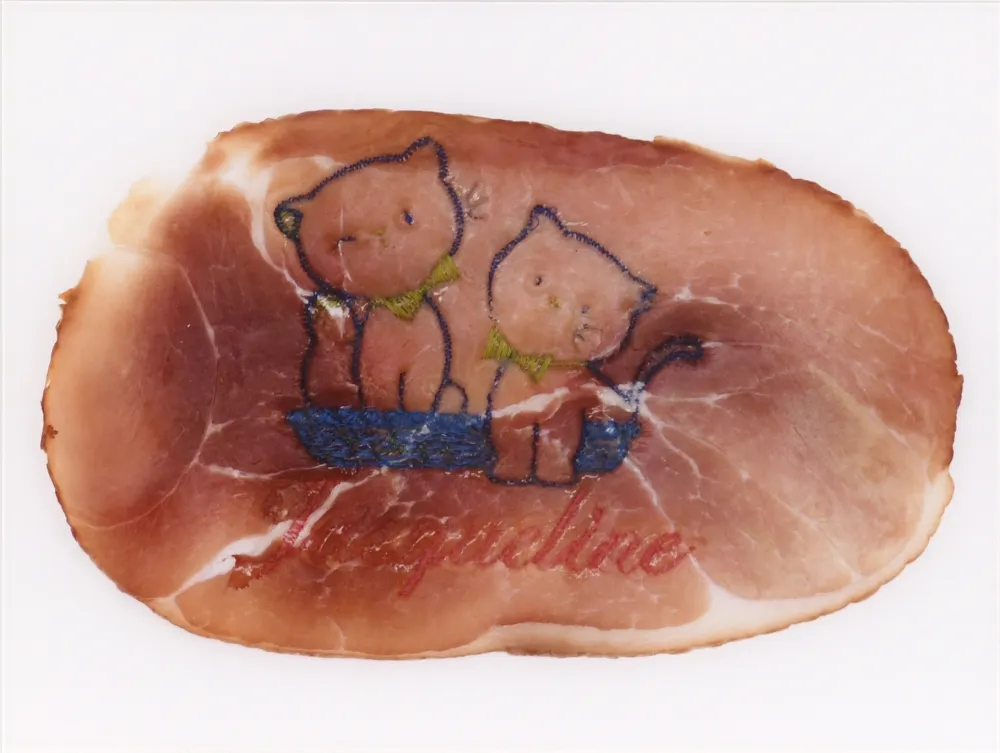 写真 Delvoye - Untitled 02 (Photograph of Embroidered Ham) (