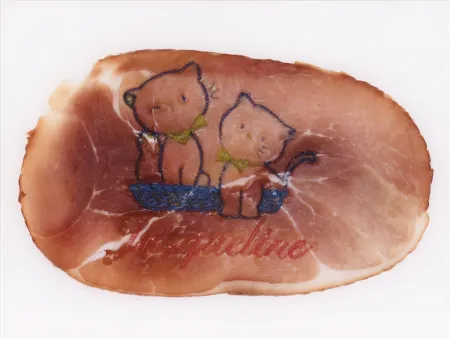 写真 Delvoye - Untitled 02 (Photograph of Embroidered Ham) (
