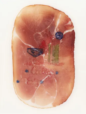 写真 Delvoye - Untitled (Photograph of Embroidered Ham)