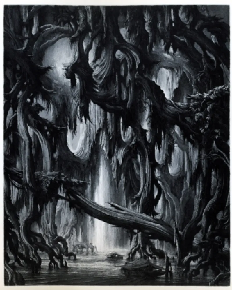 エッチングと　アクチアント Desmazières - Exploration