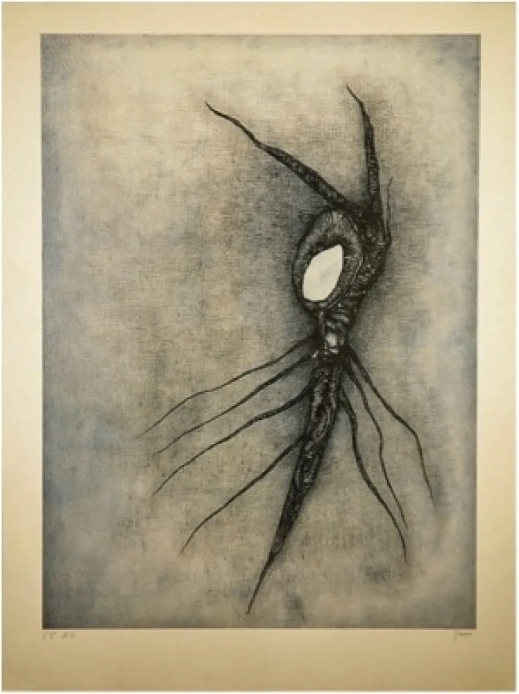 リトグラフ Deux - La Vingtième racine cosmique