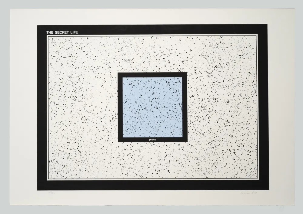 シルクスクリーン Dias - The secret life