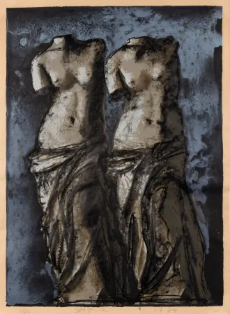 多数の Dine - Double Venus in sky at night