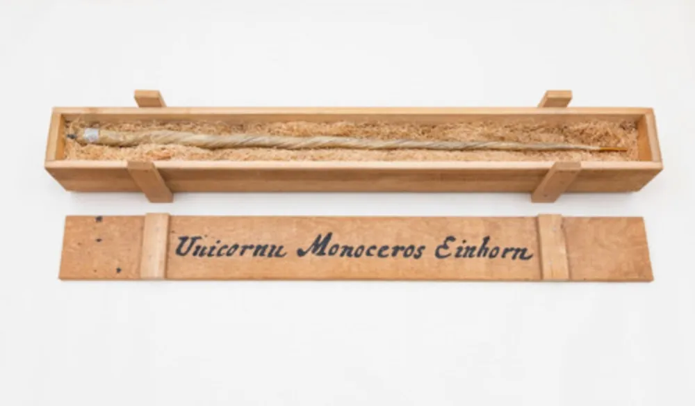 多数の Dion - My Most Priceless Treasure (unicorn)