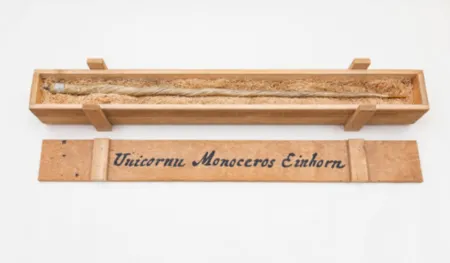 多数の Dion - My Most Priceless Treasure (unicorn)