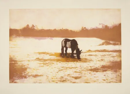 彫版 Doig - 