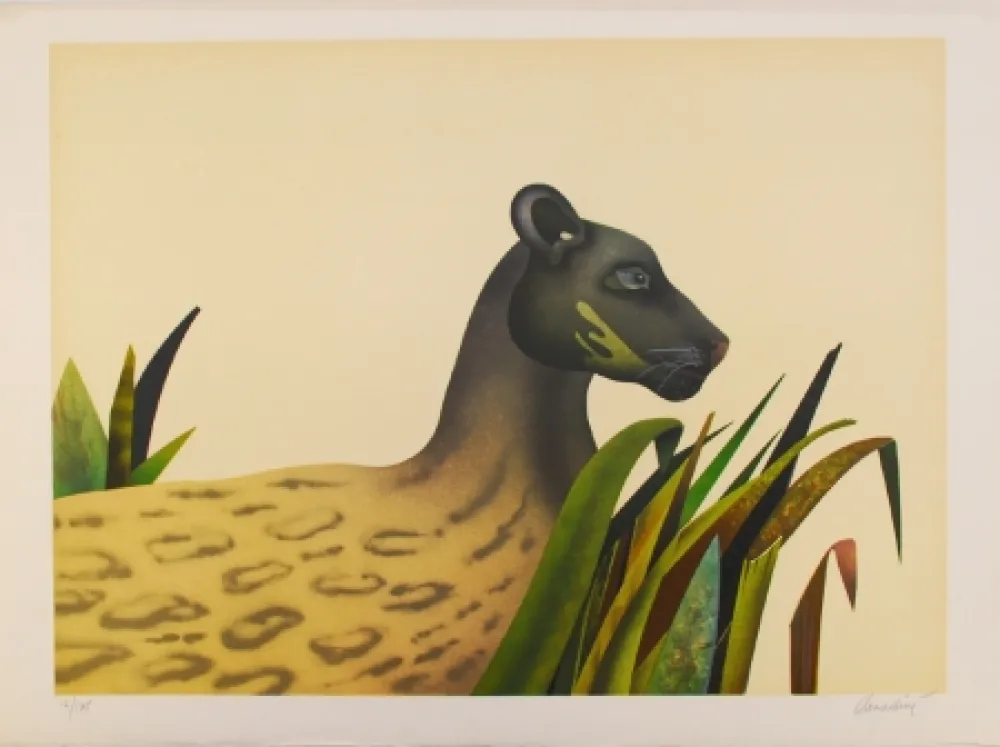 リトグラフ Donadini - Wildcat