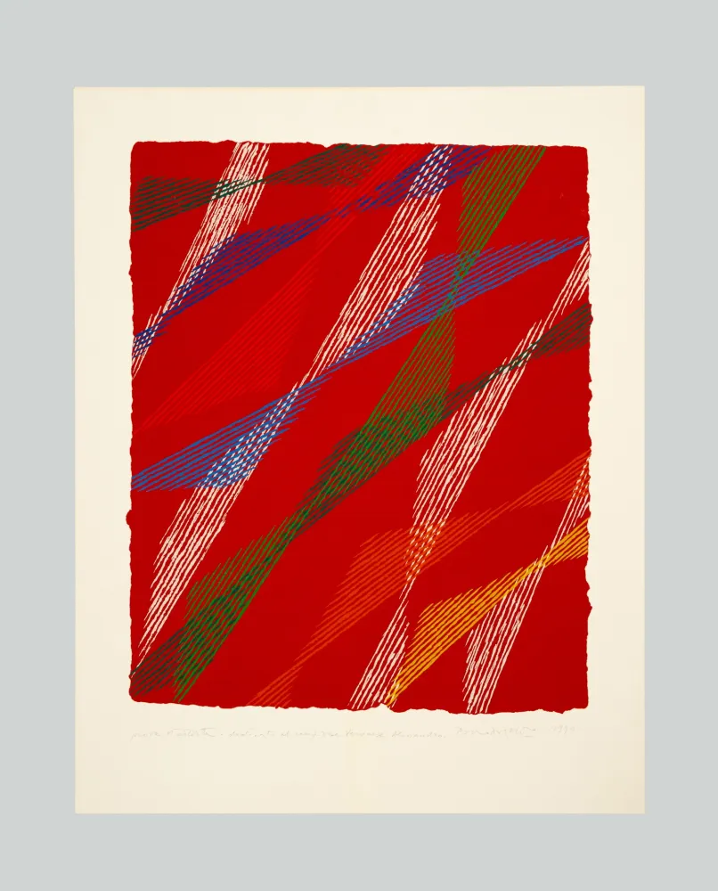 シルクスクリーン Dorazio - Composizione