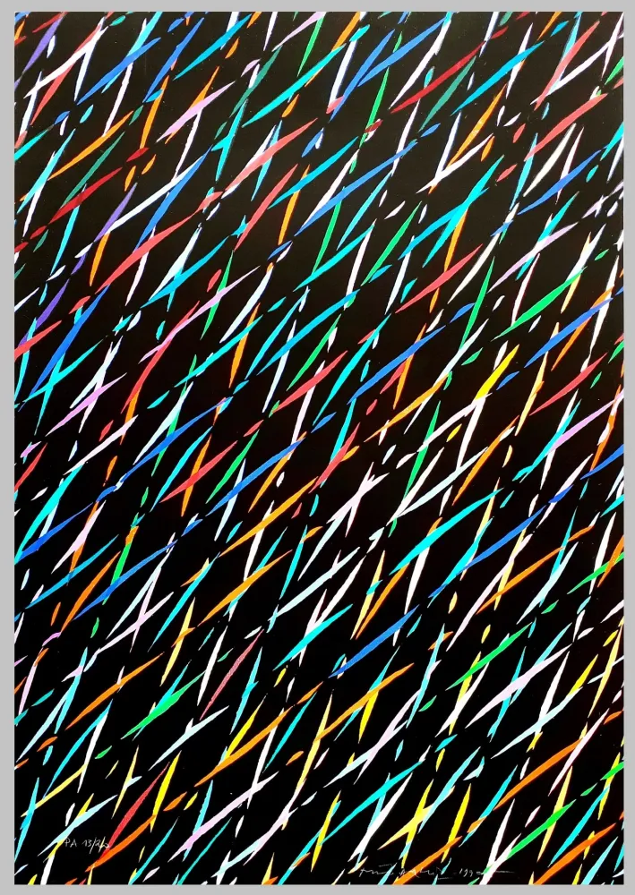 シルクスクリーン Dorazio - Composizione