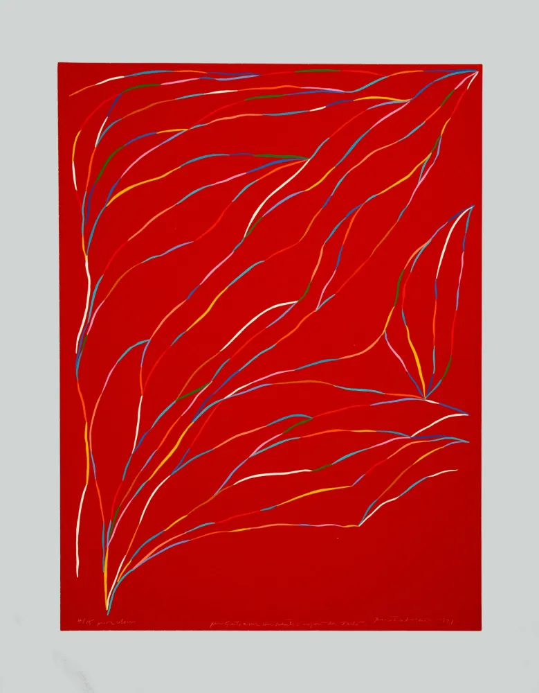 シルクスクリーン Dorazio - Composizione