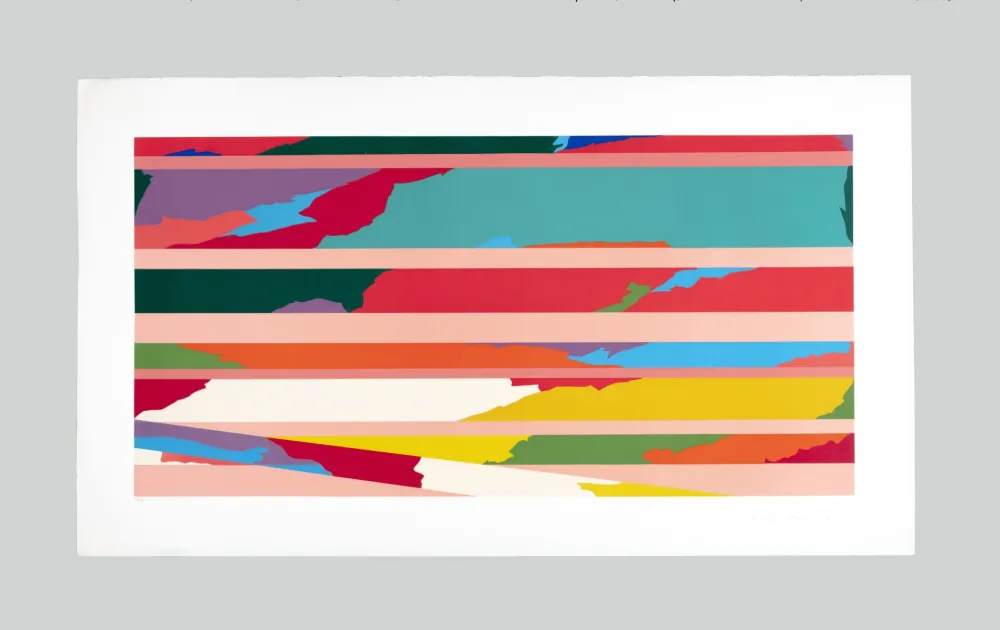 シルクスクリーン Dorazio - Composizione