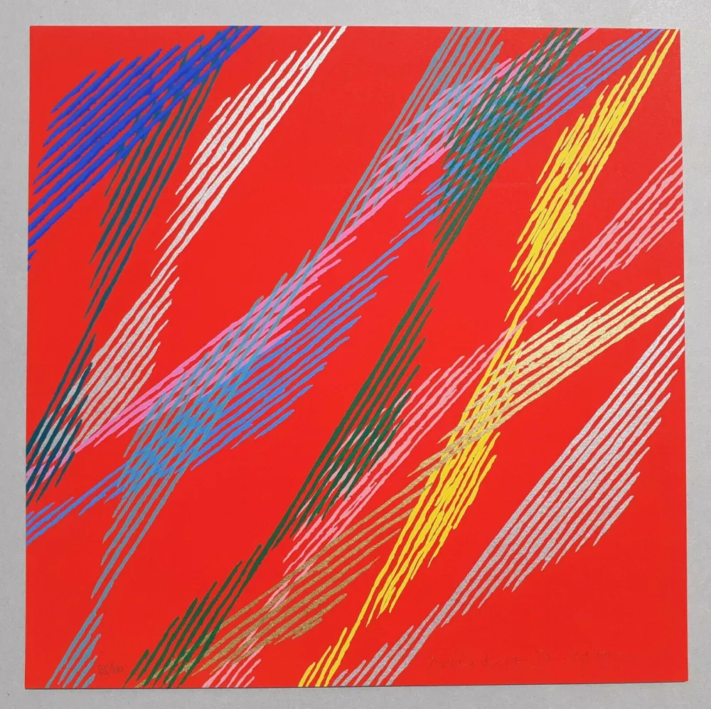 シルクスクリーン Dorazio - Composizione B