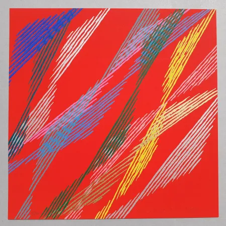 シルクスクリーン Dorazio - Composizione B