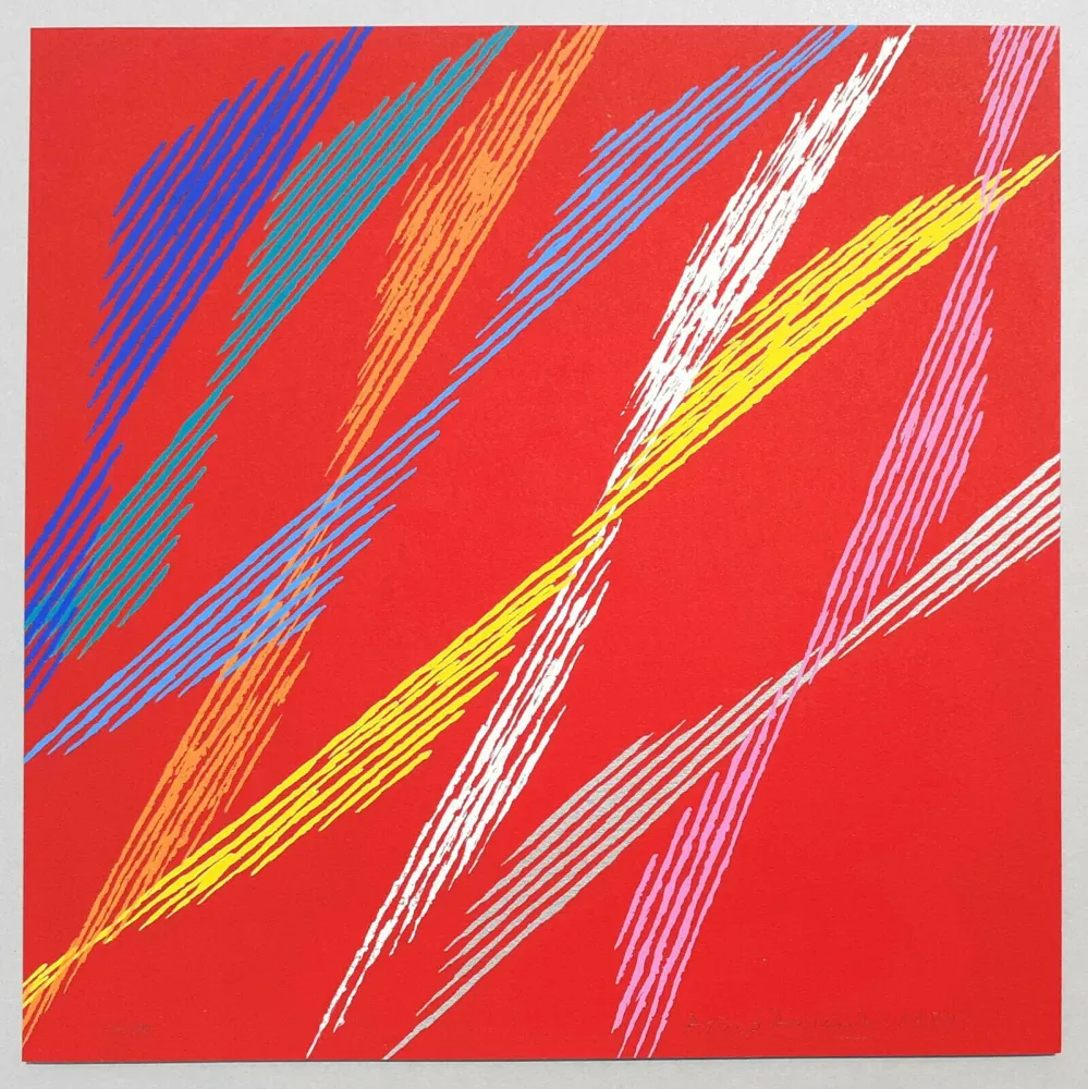 シルクスクリーン Dorazio - Composizione C