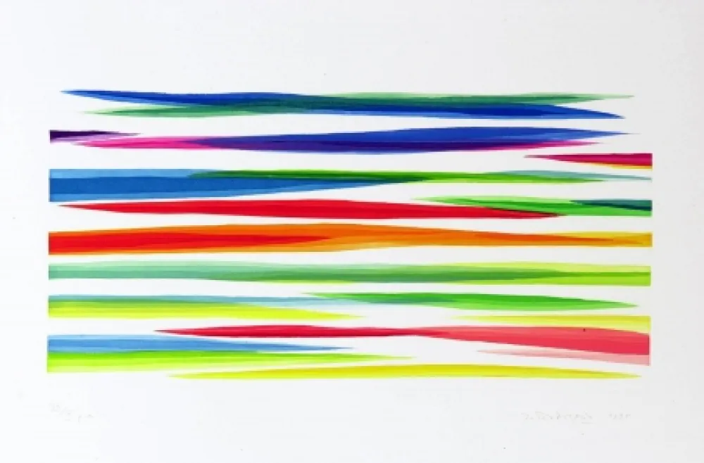 アクチアント Dorazio - 