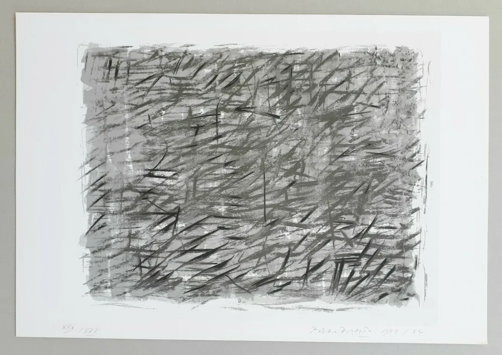 シルクスクリーン Dorazio - Disegno