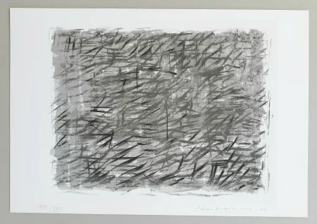 シルクスクリーン Dorazio - Disegno