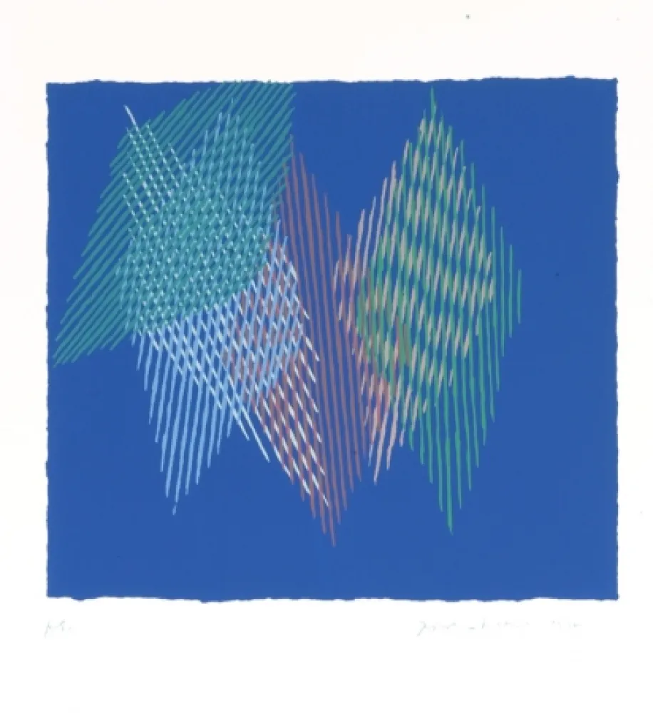 シルクスクリーン Dorazio - 