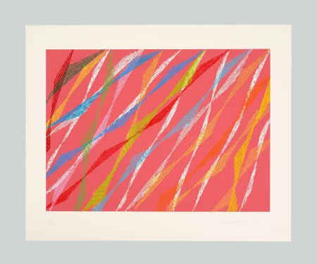 シルクスクリーン Dorazio - La Ribambelle des Gobelins