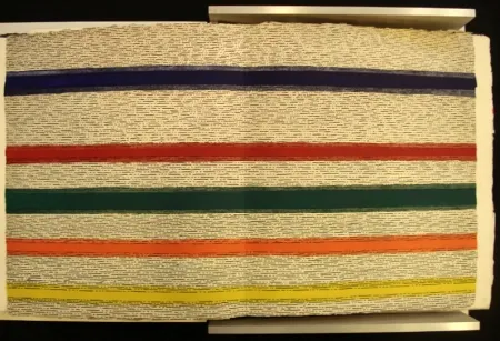 挿絵入り本 Dorazio - New Jersey