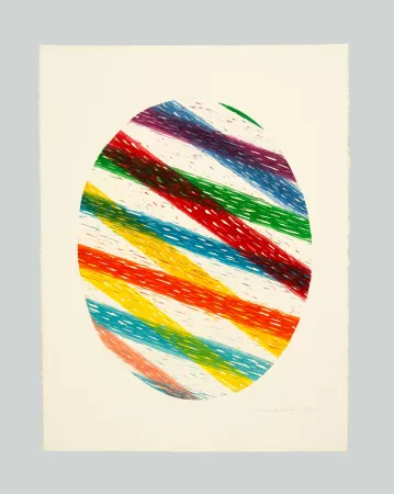 アクチアント Dorazio - Ovale