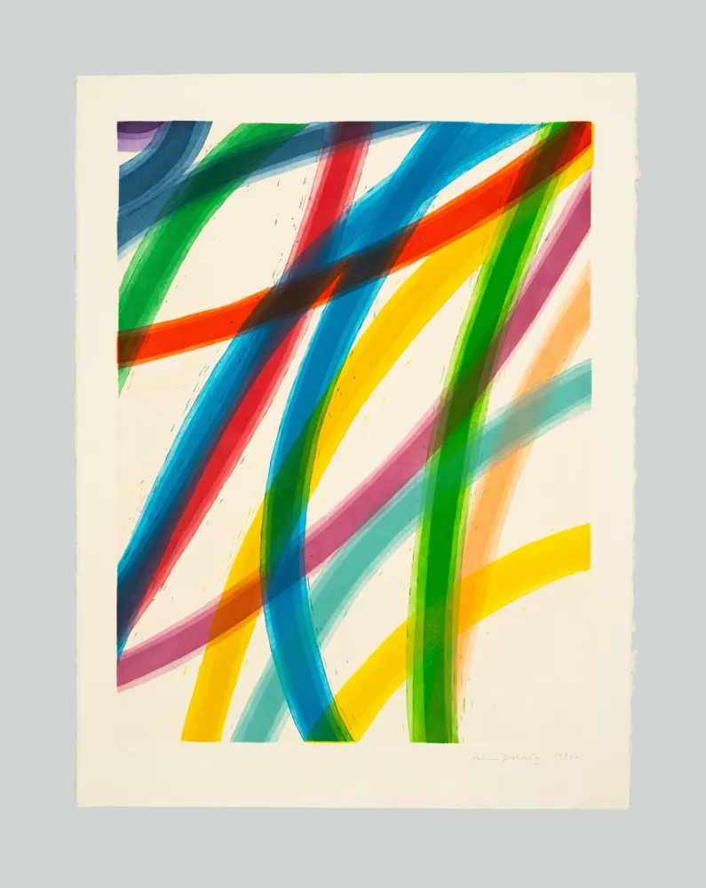 アクチアント Dorazio - Senza titolo