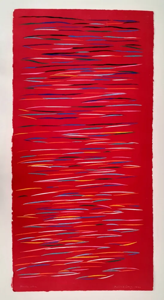 リノリウム彫版 Dorazio - Senza titolo