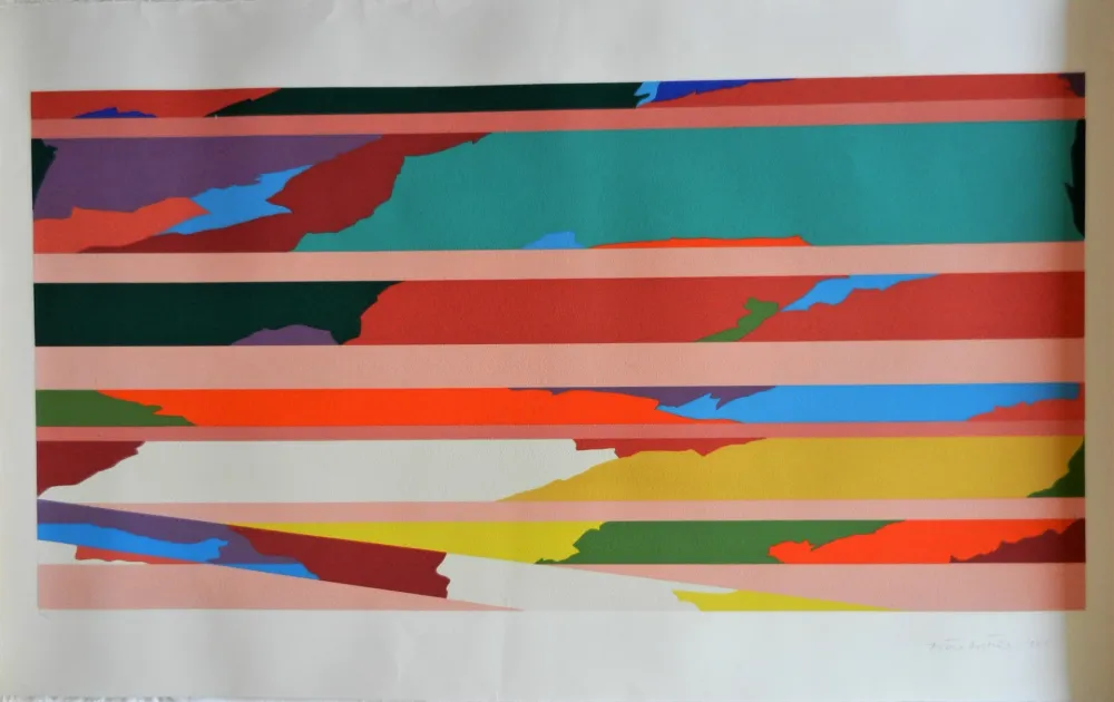 シルクスクリーン Dorazio - Senza titolo