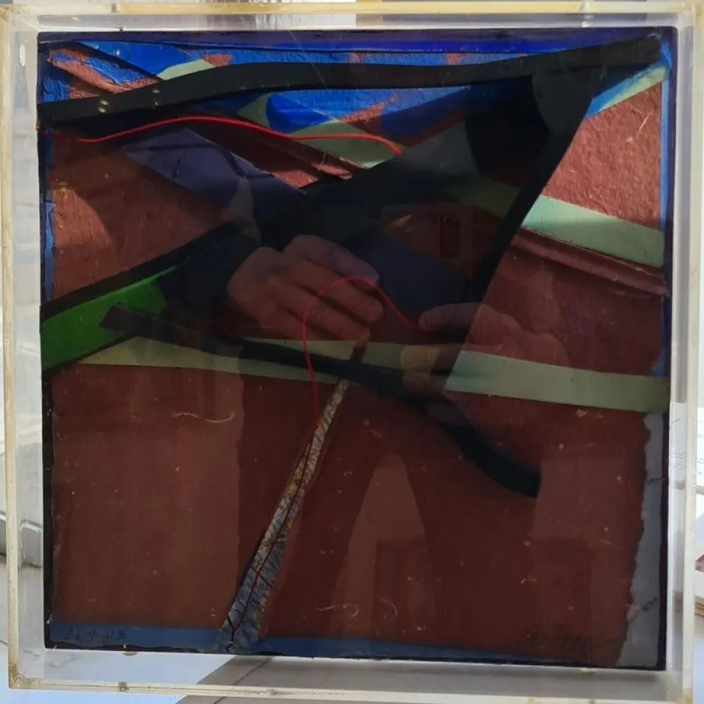 多数の Dorny - Xylomorphose n°113 