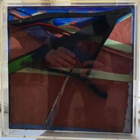 多数の Dorny - Xylomorphose n°113 