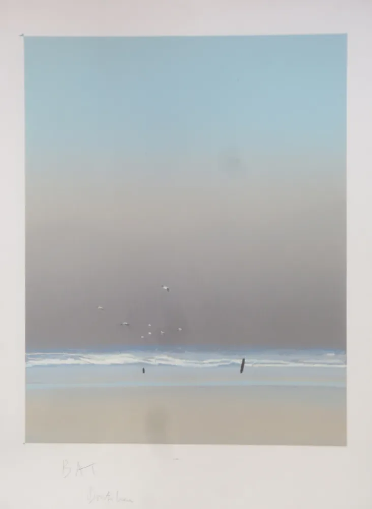 リトグラフ Doutreleau - Les mouettes