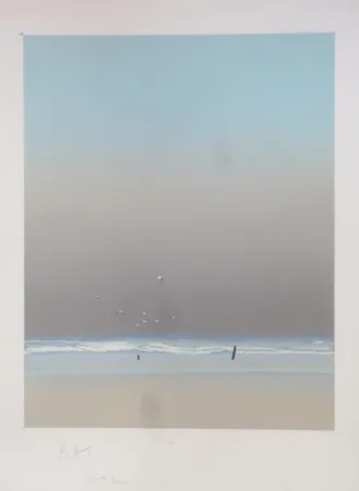 リトグラフ Doutreleau - Les mouettes