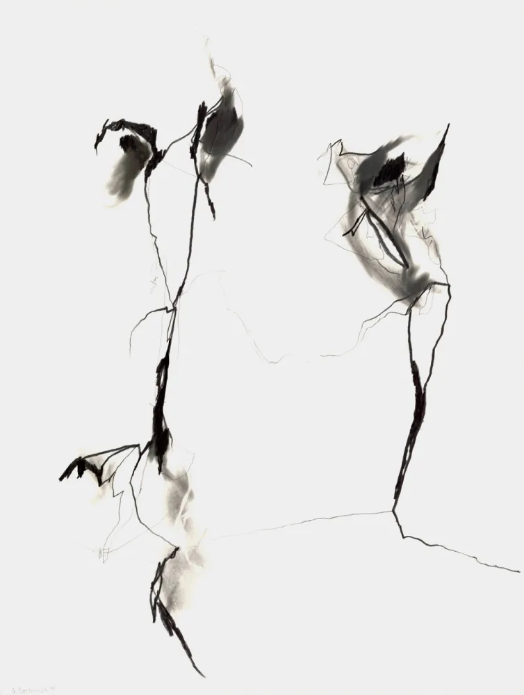 技術的なありません Drehbusch - Belangloskeiten / Irrelevancies