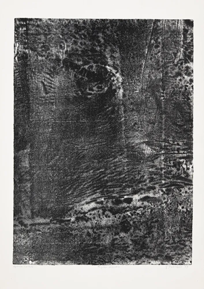 リトグラフ Dubuffet - Paysage japonais