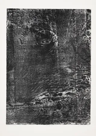 リトグラフ Dubuffet - Paysage japonais