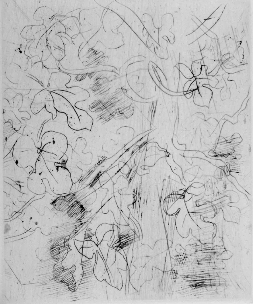 エッチング Dufy - Figuier