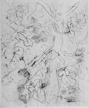 エッチング Dufy - Figuier