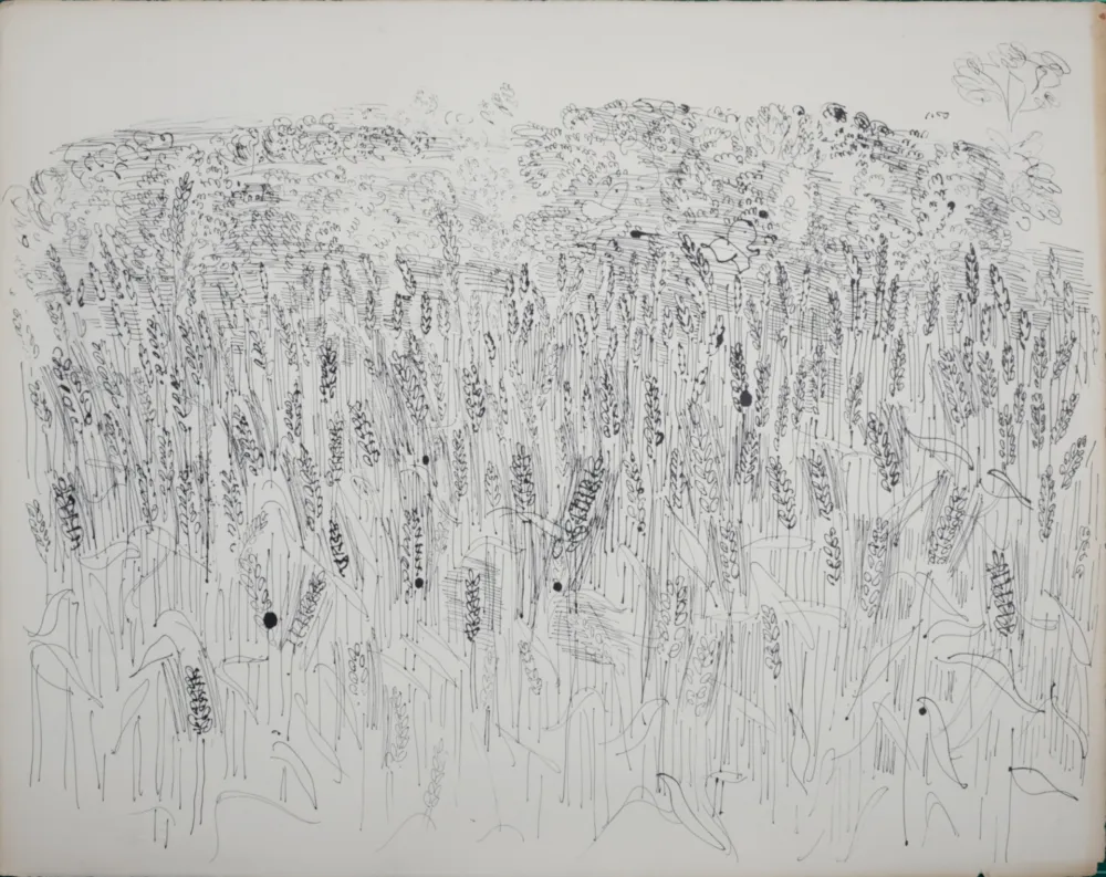 リトグラフ Dufy - Les Blés, 1933