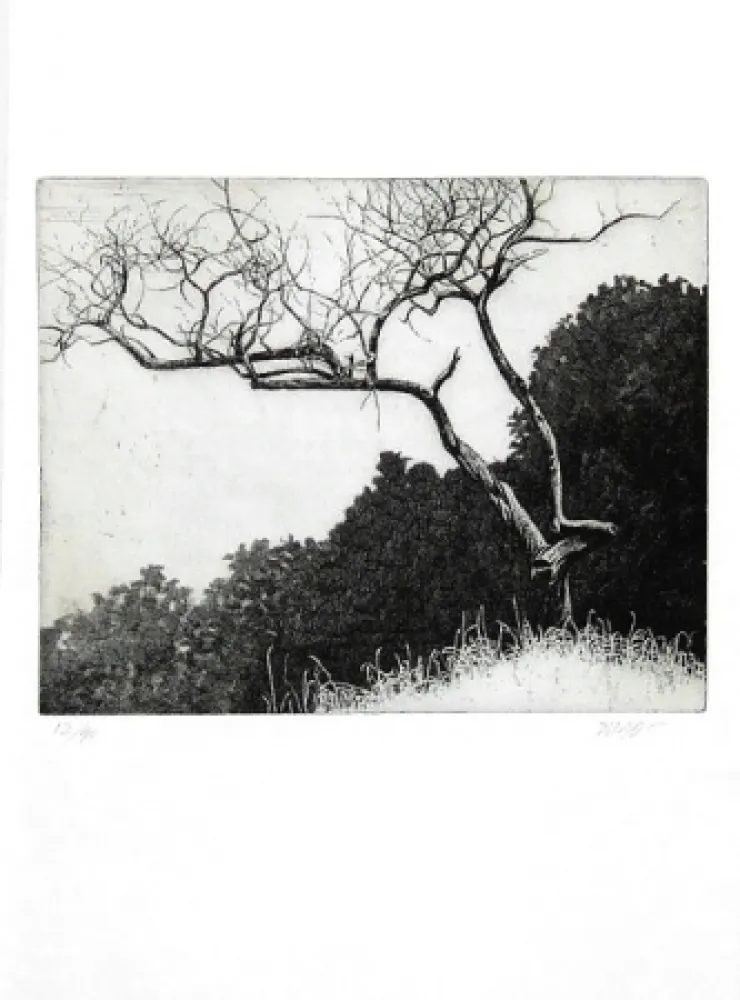 挿絵入り本 Dugo - Poco prima del temporale