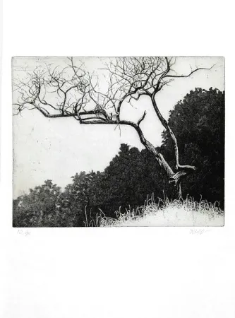 挿絵入り本 Dugo - Poco prima del temporale