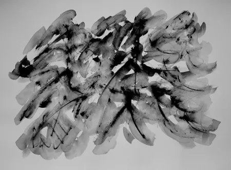 技術的なありません Dumont - LE VERCORS / THE VERCORS