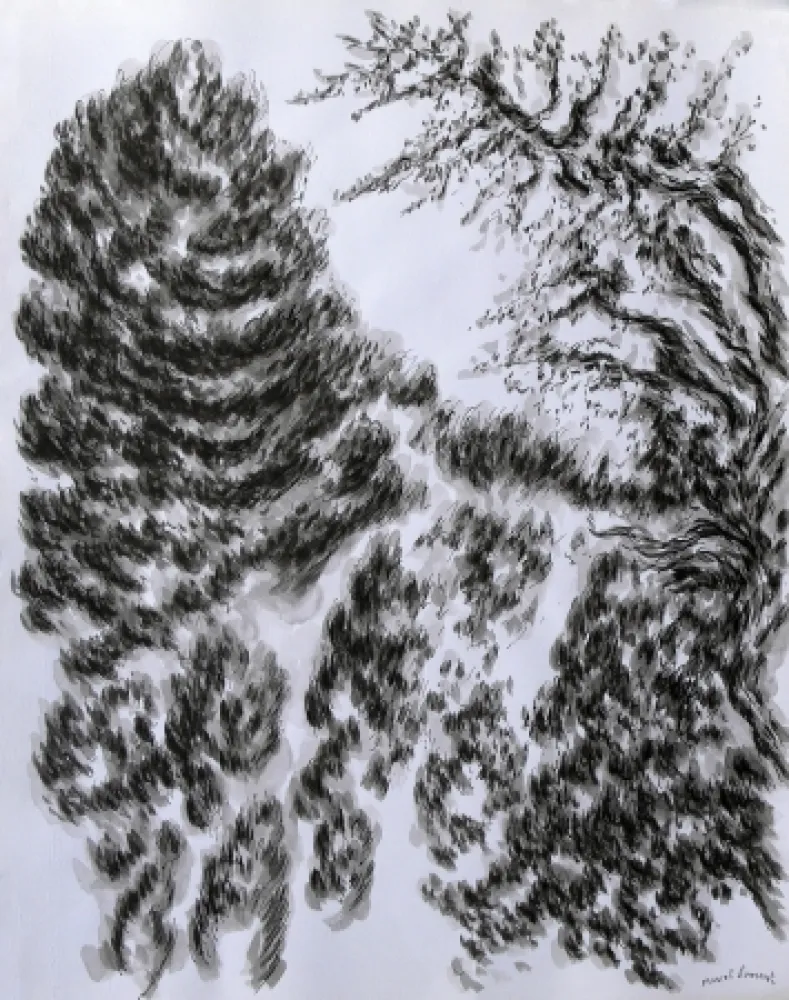 技術的なありません Dumont - LES / THE ALPILLES