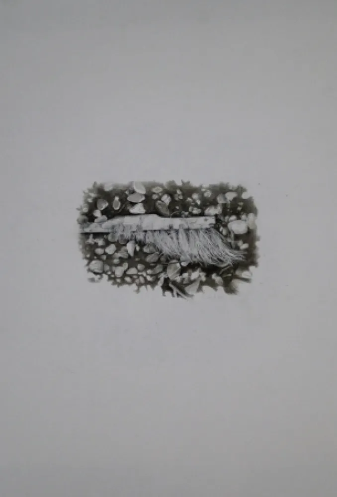 技術的なありません Ebert - Besen