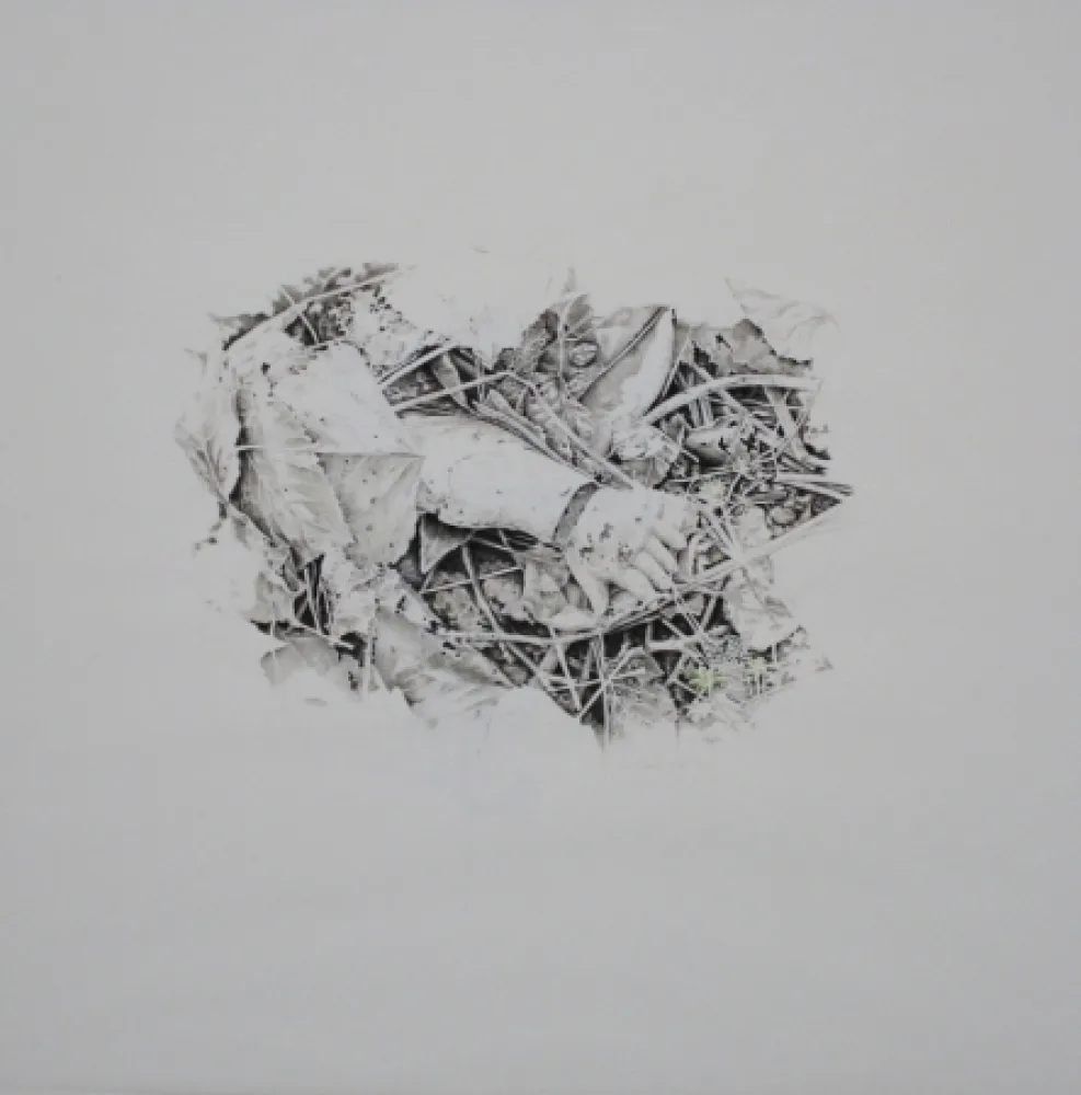 技術的なありません Ebert - Handschuh / Glove